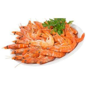 NO NAME CASINO-088041