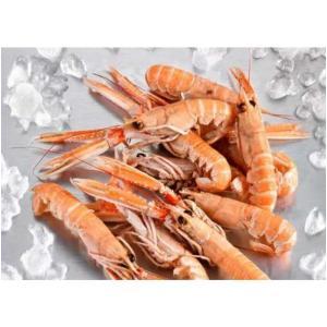 NO NAME CASINO-088068