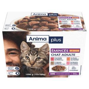 Casino Animaplus-091399