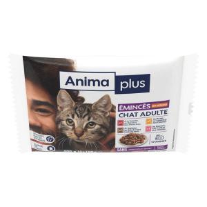 Casino Animaplus-091401