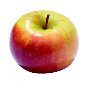 NO NAME CASINO-111747