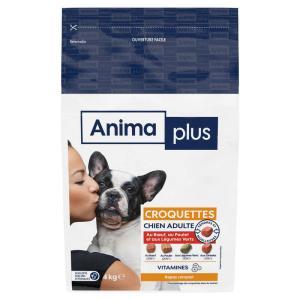 Casino Animaplus-118227