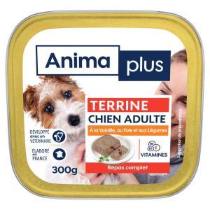 Casino Animaplus-122266