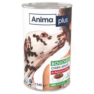 Casino Animaplus-122613