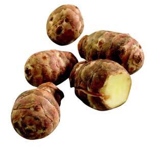 NO NAME CASINO-132161