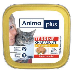 Casino Animaplus-161314