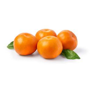 NO NAME CASINO-167308