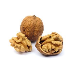 NO NAME CASINO-167712