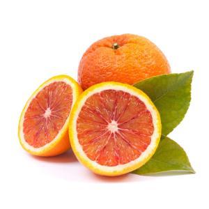 NO NAME CASINO-167808