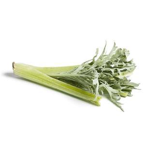 NO NAME CASINO-168790