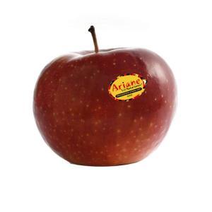 NO NAME CASINO-230500