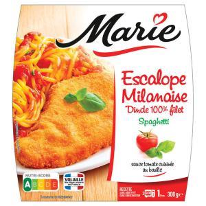 MARIE-266040