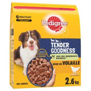 Pedigree-287990
