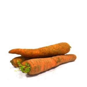 NO NAME CASINO-292217