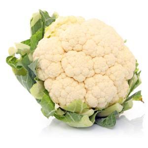 NO NAME CASINO-292685