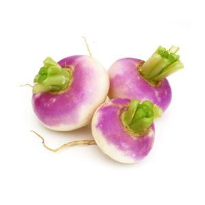 NO NAME CASINO-293262