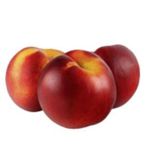 MARQUE NATIONALE BIO-294063