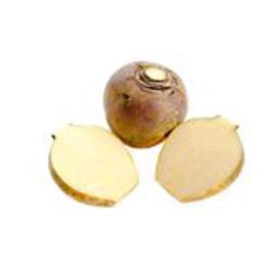 NO NAME CASINO-294858