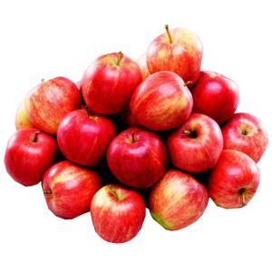 NO NAME CASINO-300545