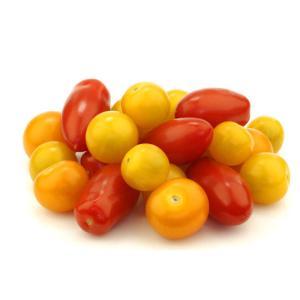 NO NAME CASINO-325747