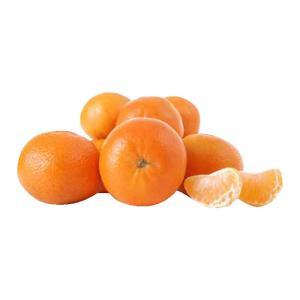 NO NAME CASINO-340517