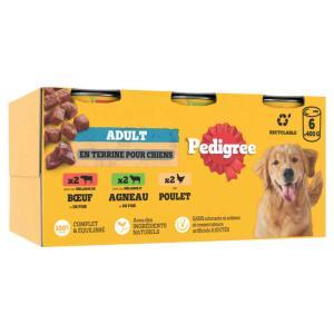 Pedigree-342236