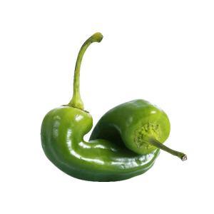 NO NAME CASINO-343046