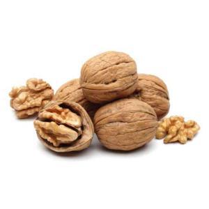 NO NAME CASINO-344775