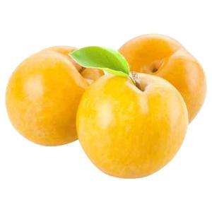 NO NAME CASINO-344833