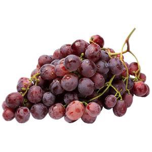 NO NAME CASINO-345258