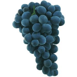 NO NAME CASINO-345265