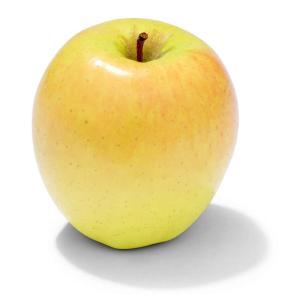 NO NAME CASINO-347101