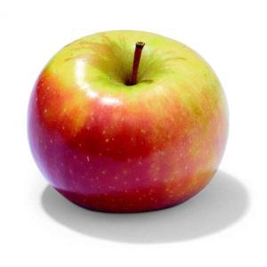 NO NAME CASINO-347223