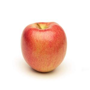 NO NAME CASINO-347273