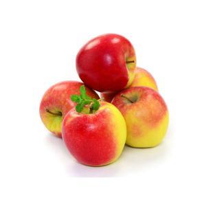 NO NAME CASINO-347463