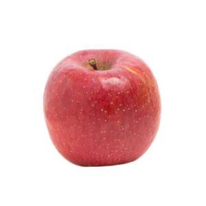 NO NAME CASINO-347469