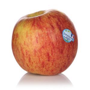 NO NAME CASINO-347508