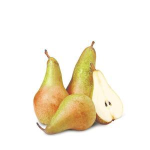 NO NAME CASINO-347835