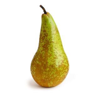 NO NAME CASINO-347861