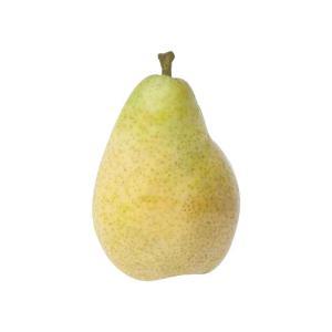 NO NAME CASINO-348070