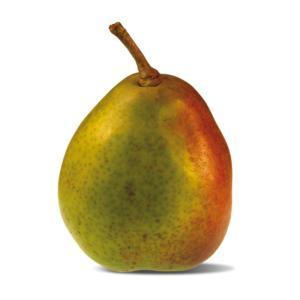 NO NAME CASINO-348113