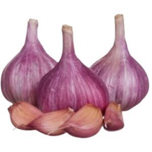 NO NAME CASINO-348981