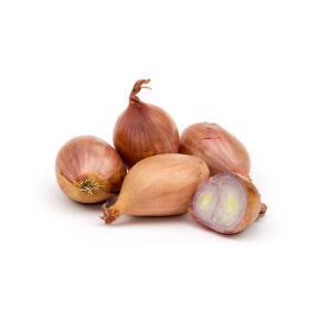 NO NAME CASINO-349697