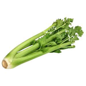 NO NAME CASINO-365440