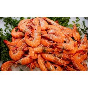 NO NAME CASINO-371150