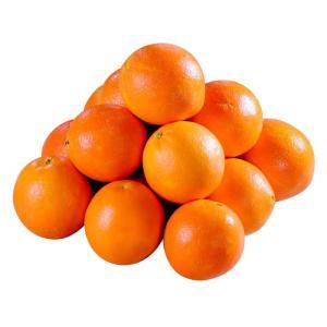 NO NAME CASINO-373665