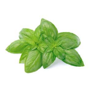 NO NAME CASINO-387265