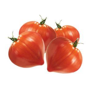 NO NAME CASINO-406476