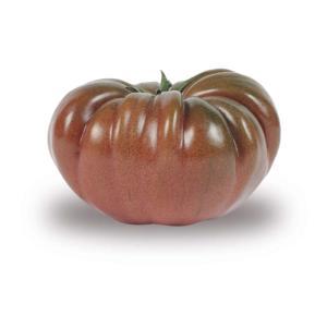 NO NAME CASINO-407844