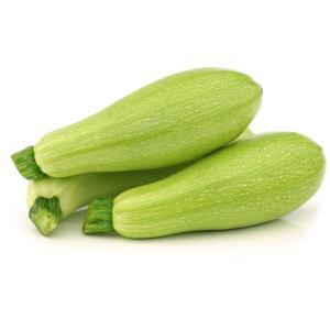 NO NAME CASINO-420002